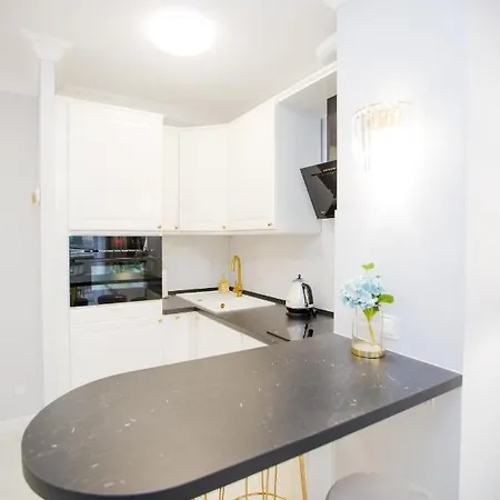 Hamptons 公寓 斯维诺乌伊希切